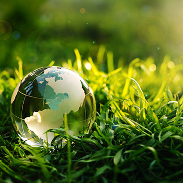 globe on grass