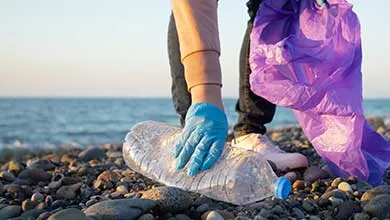 Person in blue gloves picks up a plastic bottle from a rocky beach, holding a purple trash bag.