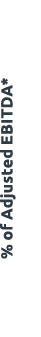 % of Adjusted ebitDa* 