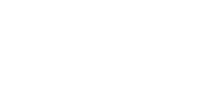 Recordable Injuries in Car Fleet