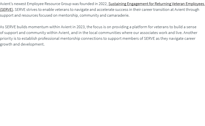Avient’s newest Employee Resource Group was founded in 2022, Sustaining Engagement for Returning Veteran Employees (S...